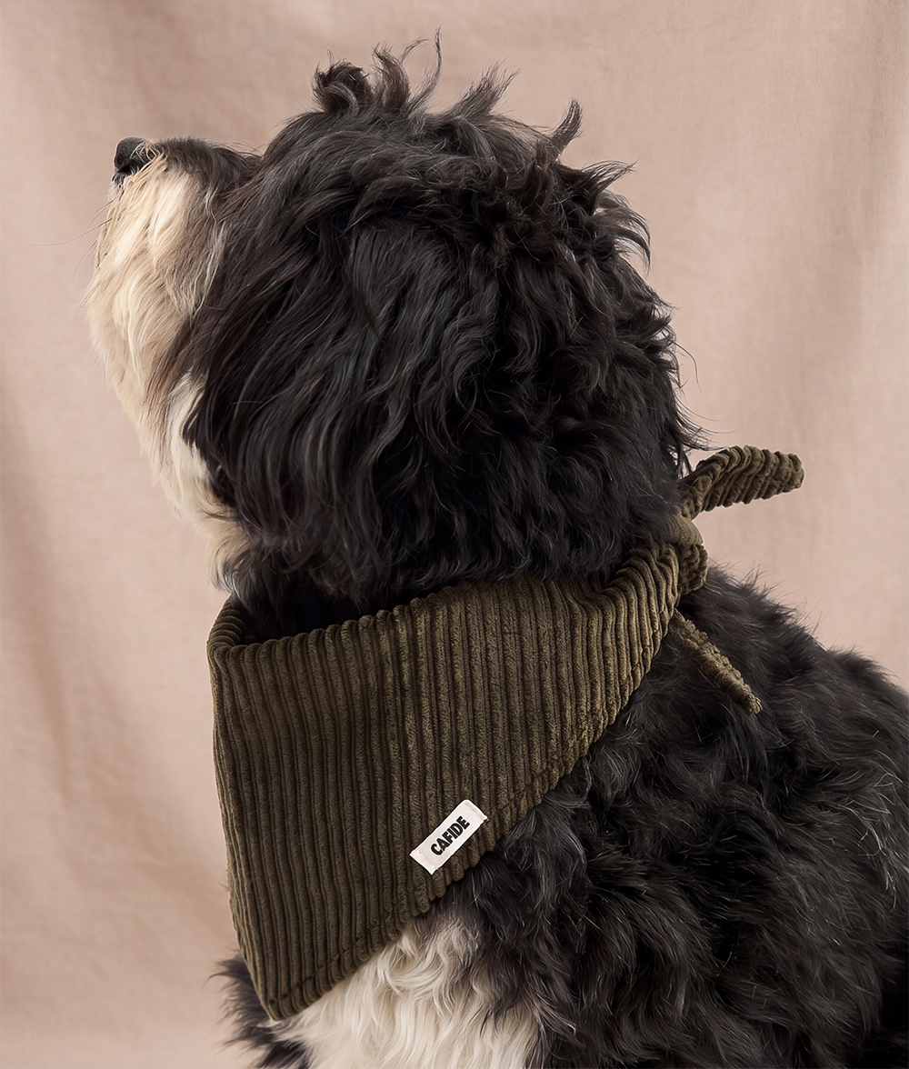 Bandana pour chien en velours côtelé vert et crème, taille M, vue 2