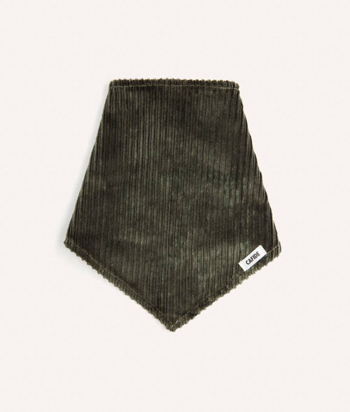 Bandana pour chien en velours côtelé vert et crème, taille L