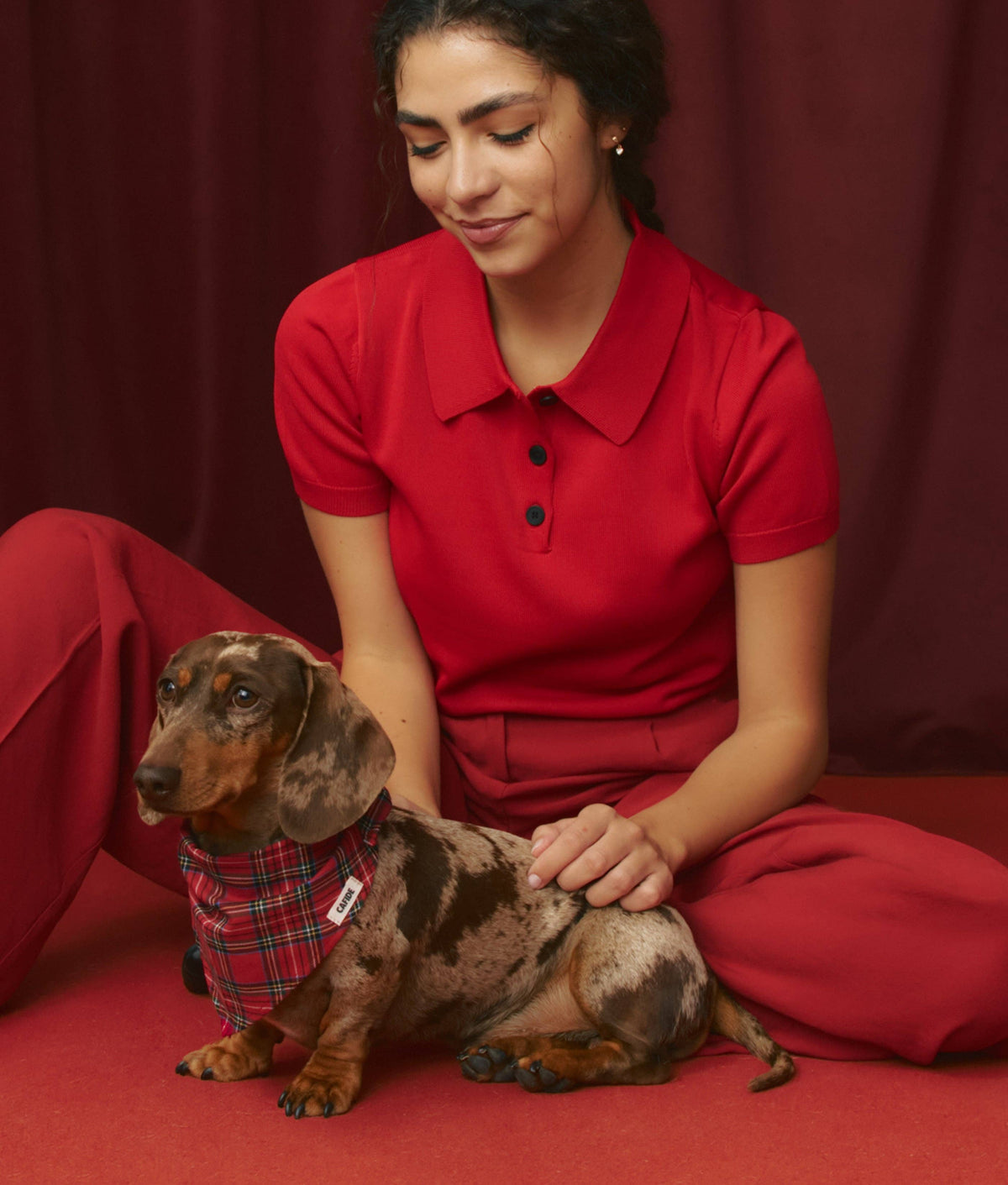 Bandana pour chien tartan Royal Stewart et crème, vue 3