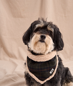 Bandana pour chien tartan vert et crème, taille M, vue 2