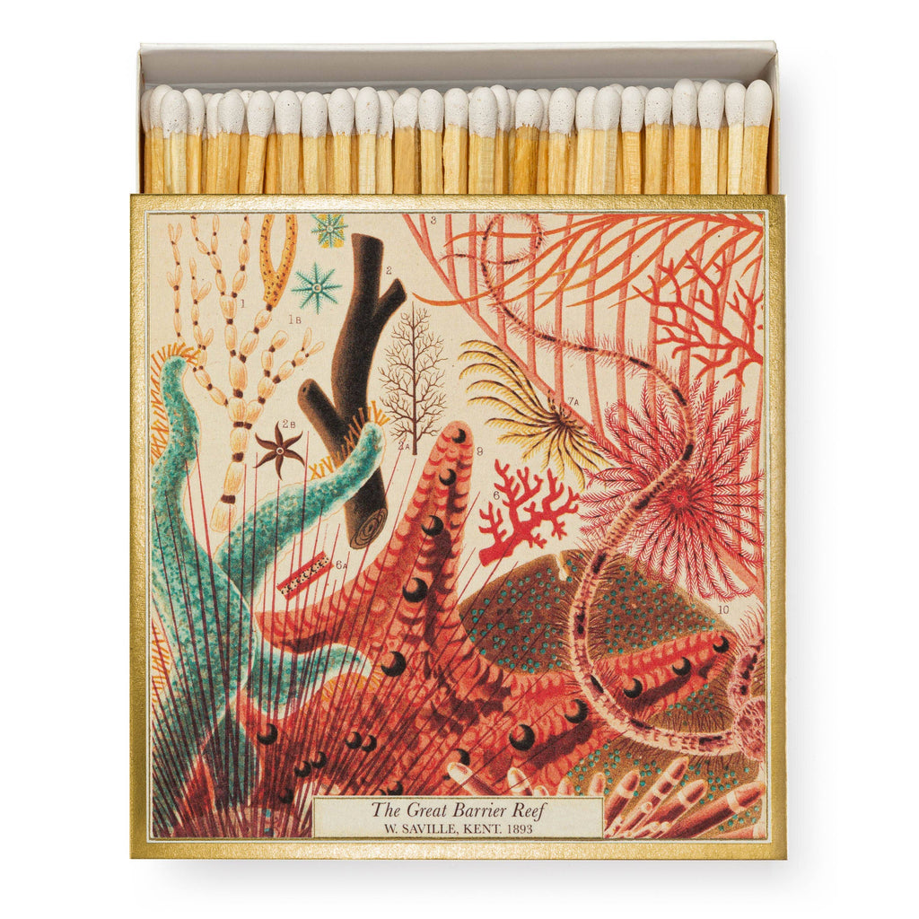 Boîte carrée d'allumettes de sûreté décor Grande Barrière de Corail