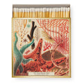 Boîte carrée d'allumettes de sûreté décor Grande Barrière de Corail