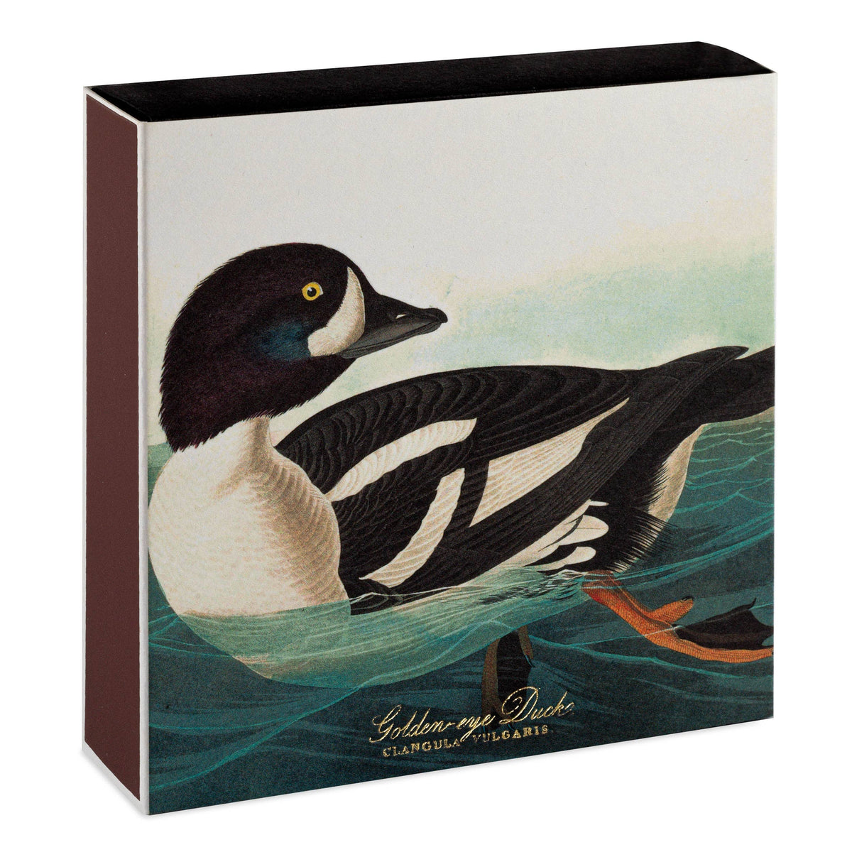 Boîte carrée d'allumettes de sûreté illustration garrot à œil d'or d'Audubon, vue 2