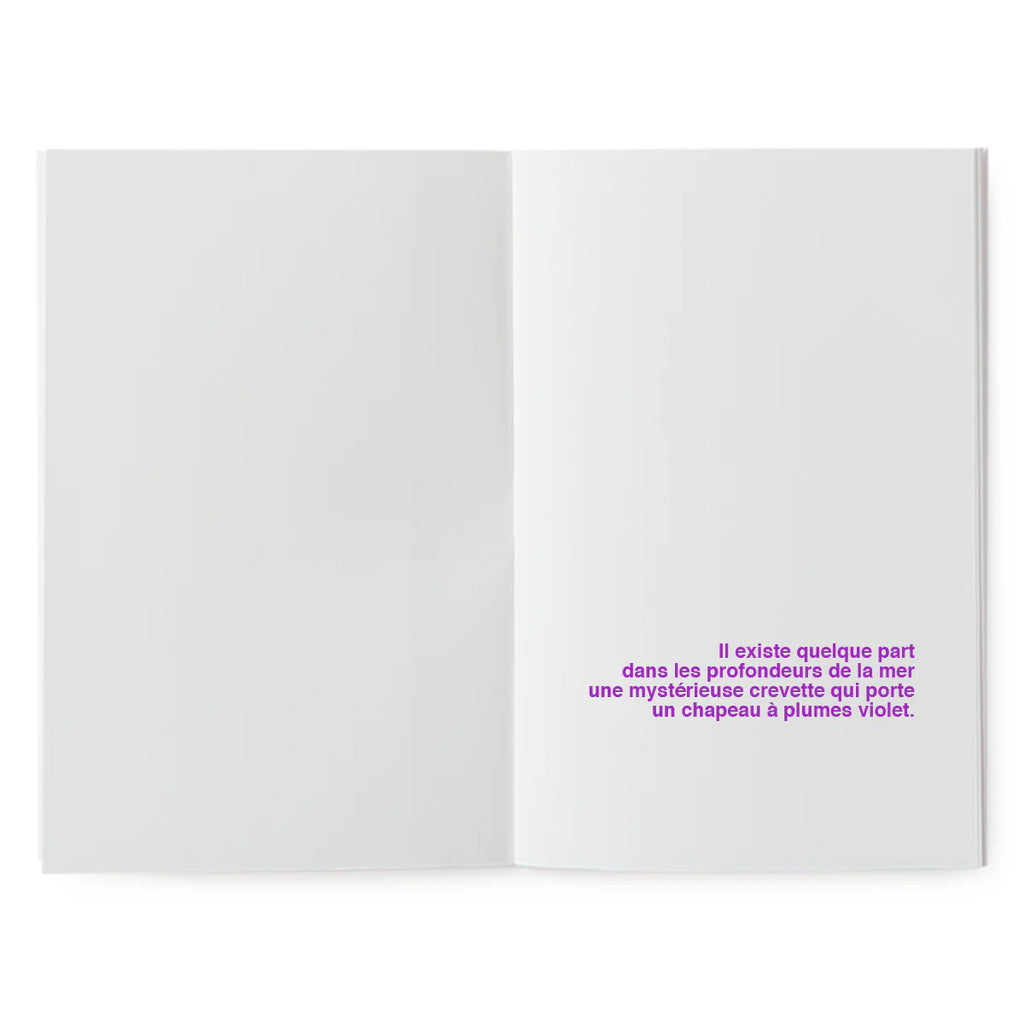 Offrez un livre à illustrer creatif  ! Histoire drôle, papier épais 170g, format poche. Idée cadeau original pour enfant créatif. Imprimé en France.