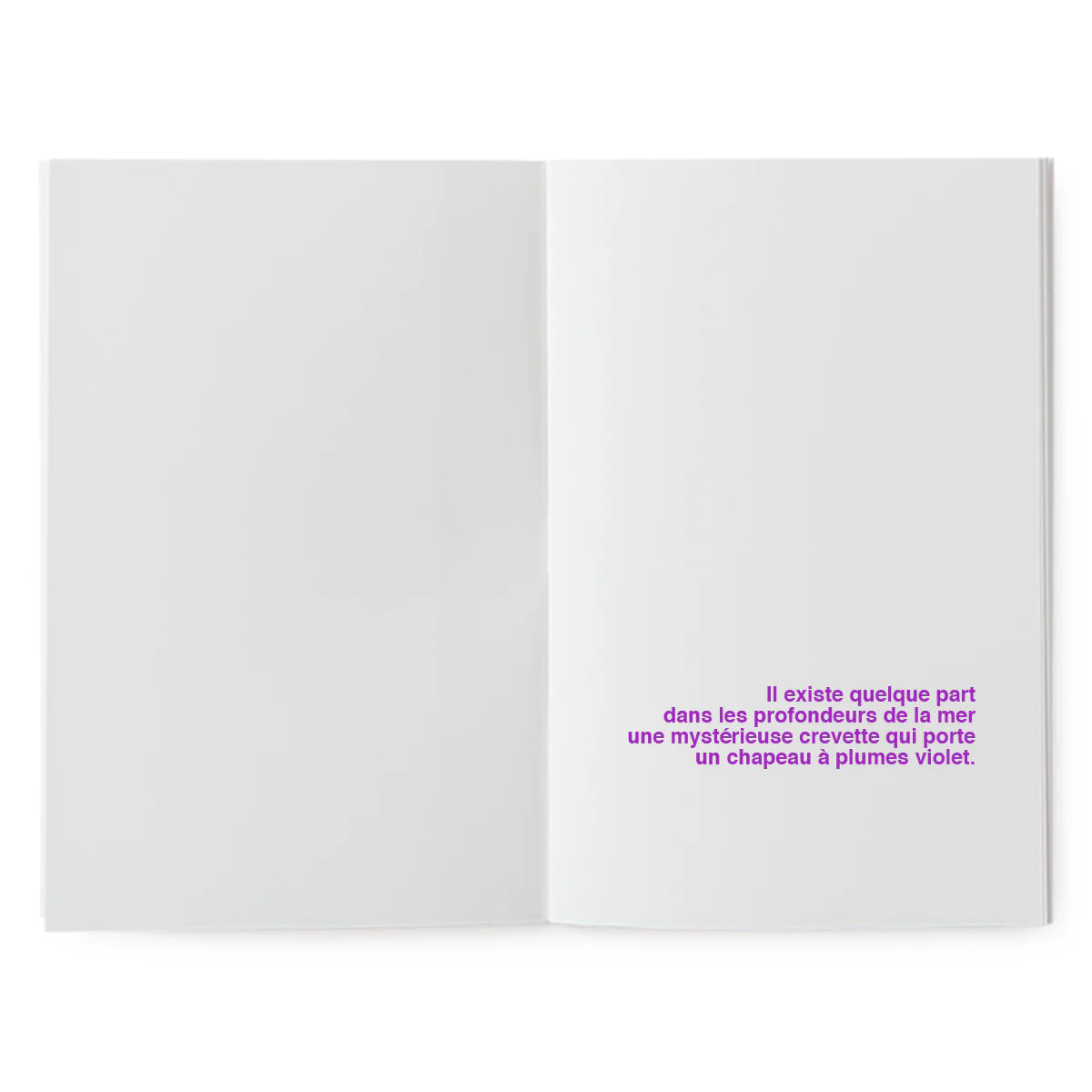 Offrez un livre à illustrer creatif  ! Histoire drôle, papier épais 170g, format poche. Idée cadeau original pour enfant créatif. Imprimé en France.