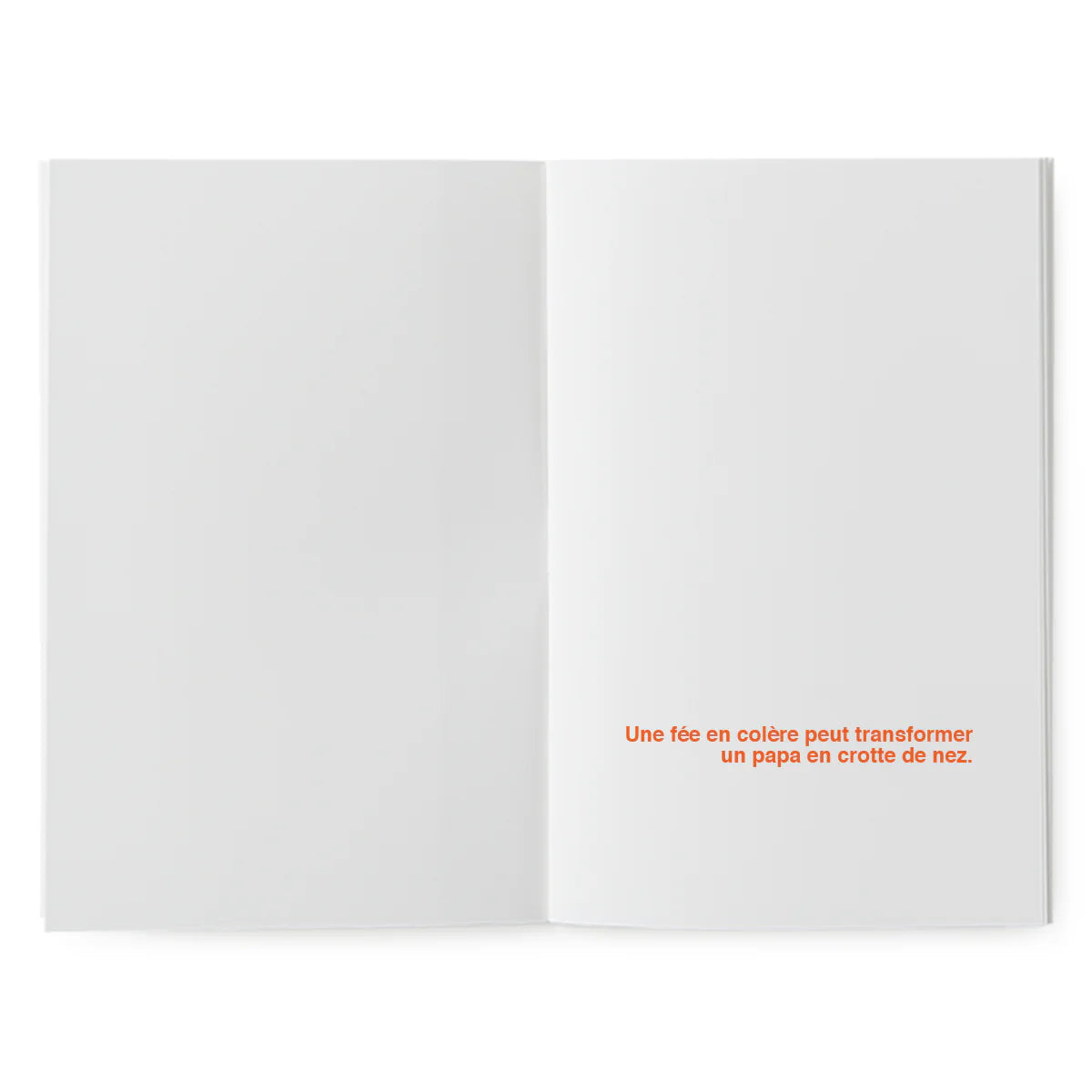 un livre a imaginer, à dessiner. une creativité a develooper 