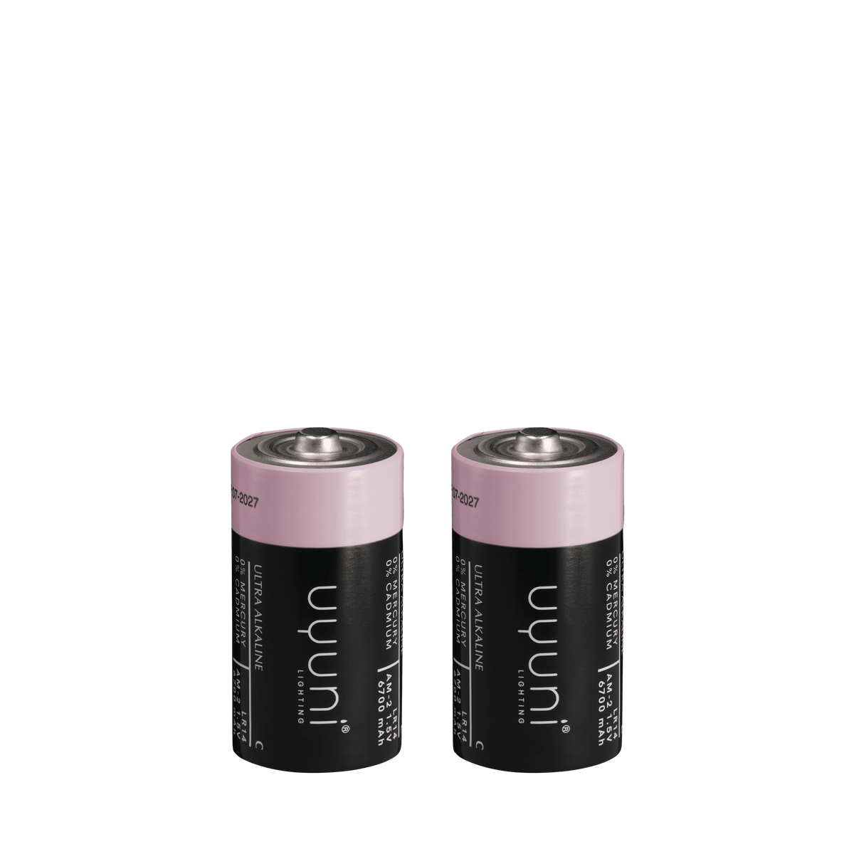 Lot de 2 piles alcalines C Uyuni Lighting