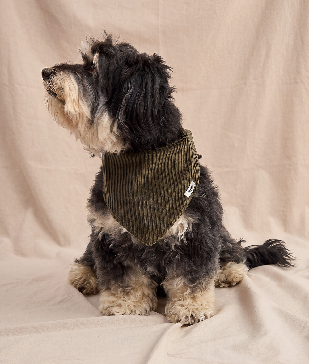 Bandana pour chien en velours côtelé vert et crème, taille M, vue 3