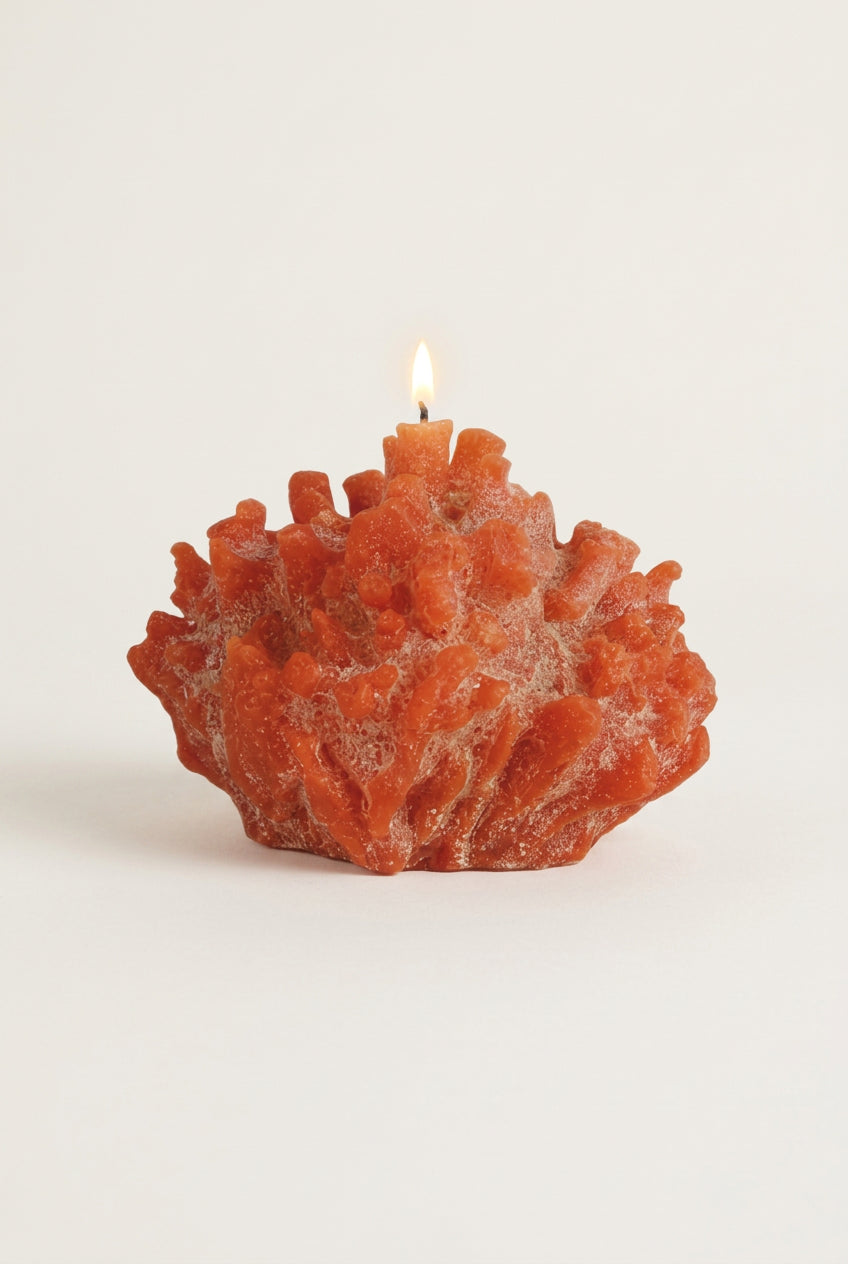 grosse bougie decorative en forme de recif corallien 
