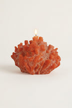grosse bougie decorative en forme de recif corallien 