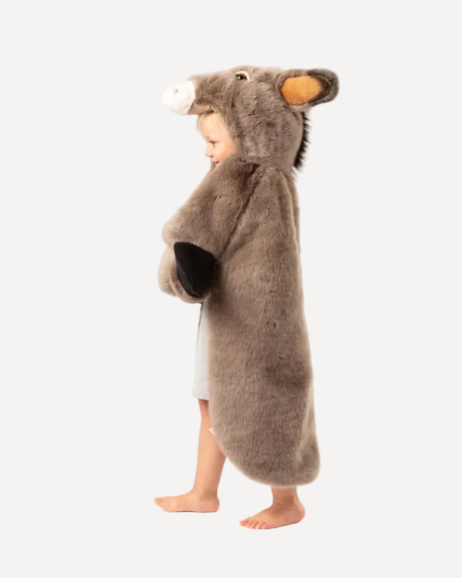 Déguisement enfant Peau d'âne