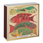 Boîte carrée d'allumettes de sûreté décor poisson, vue 2