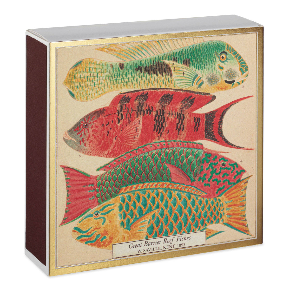 Boîte carrée d'allumettes de sûreté décor poisson, vue 2
